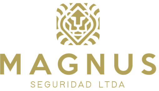 Magnus Seguridad