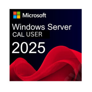 Windows Svr 2025 CAL (5 User) CO